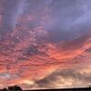 skyshop_26